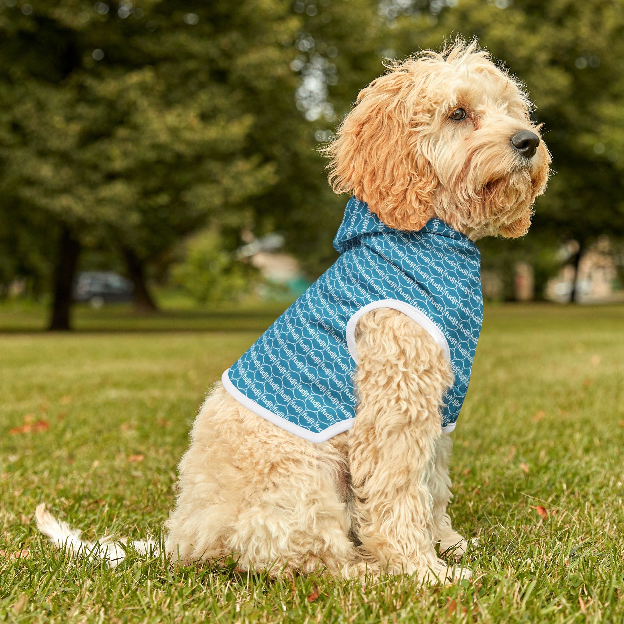 Turquoise fudjt Pet Hoodie | Unbroken Chain 1.25 | 7 Sizes