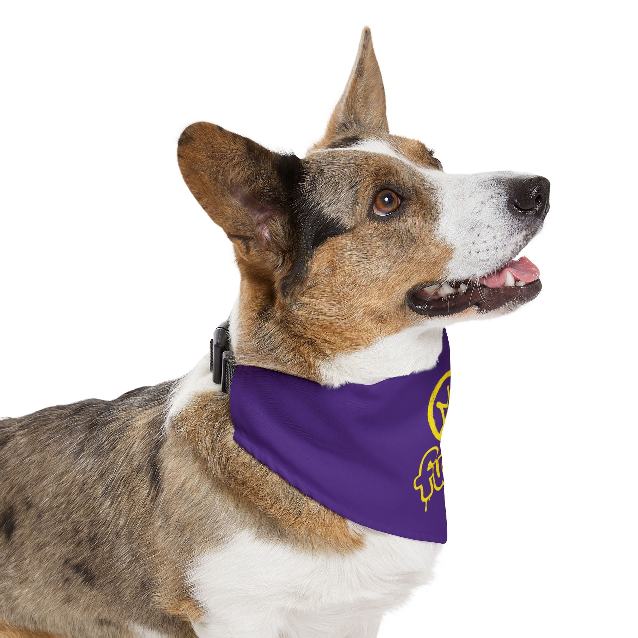 Purple Golden fudjt No Kings Bandana Collar for Dogs, Cats & More | 4 Sizes