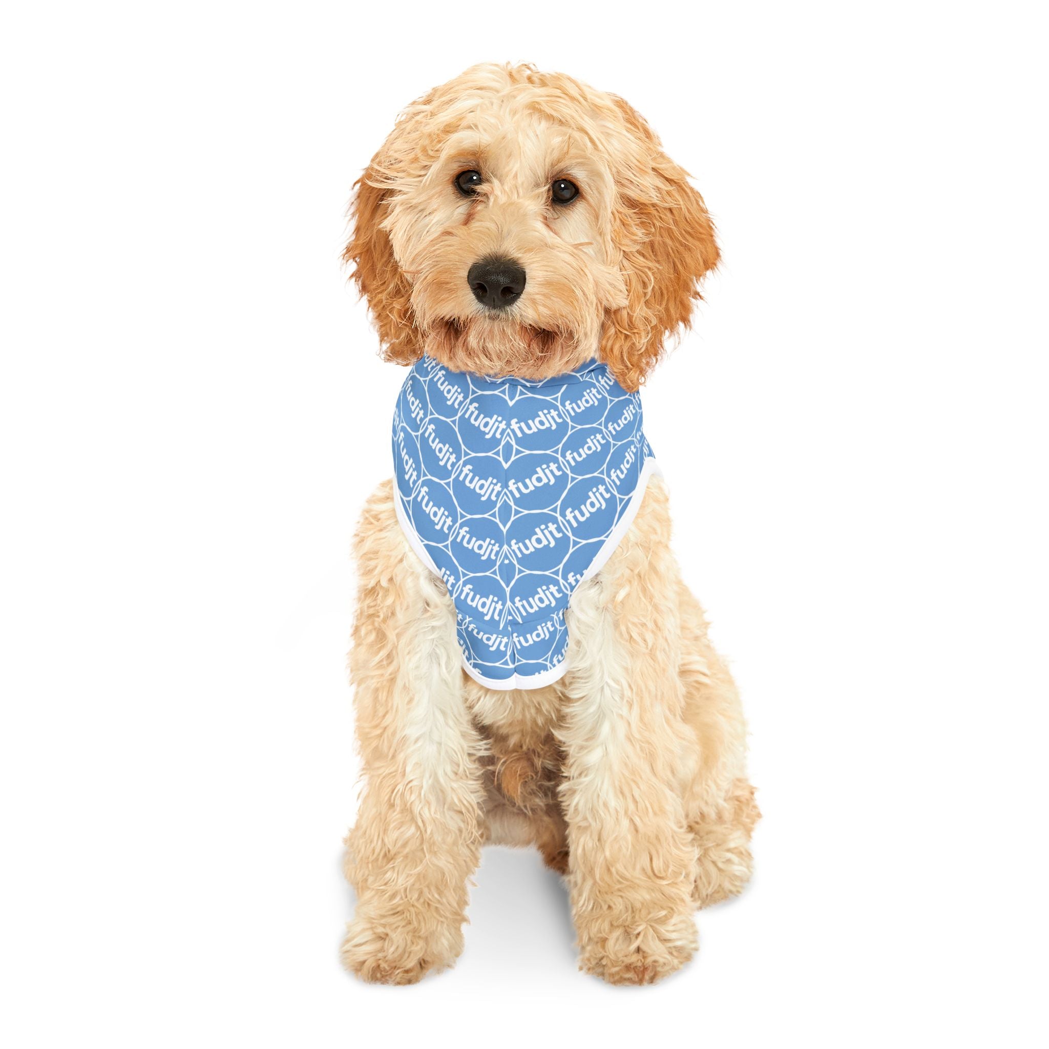 Light Blue fudjt Pet Hoodie | Unbroken Chain 2.5 | 7 Sizes