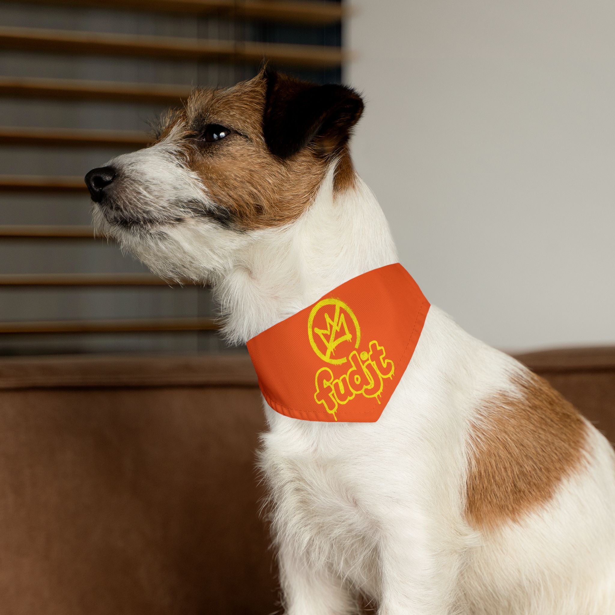 Orange Golden fudjt No Kings Bandana Collar for Dogs, Cats & More | 4 Sizes