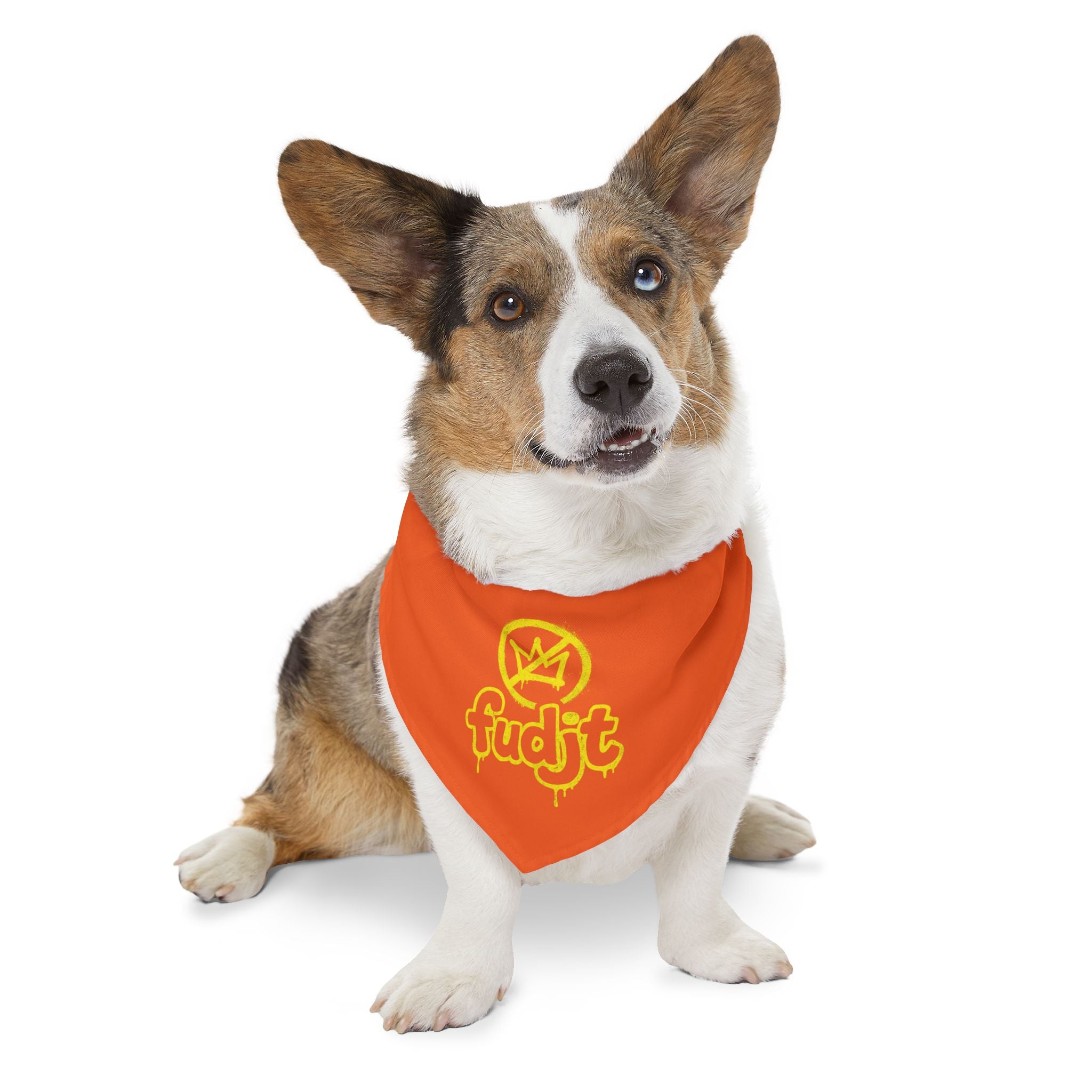 Orange Golden fudjt No Kings Bandana Collar for Dogs, Cats & More | 4 Sizes