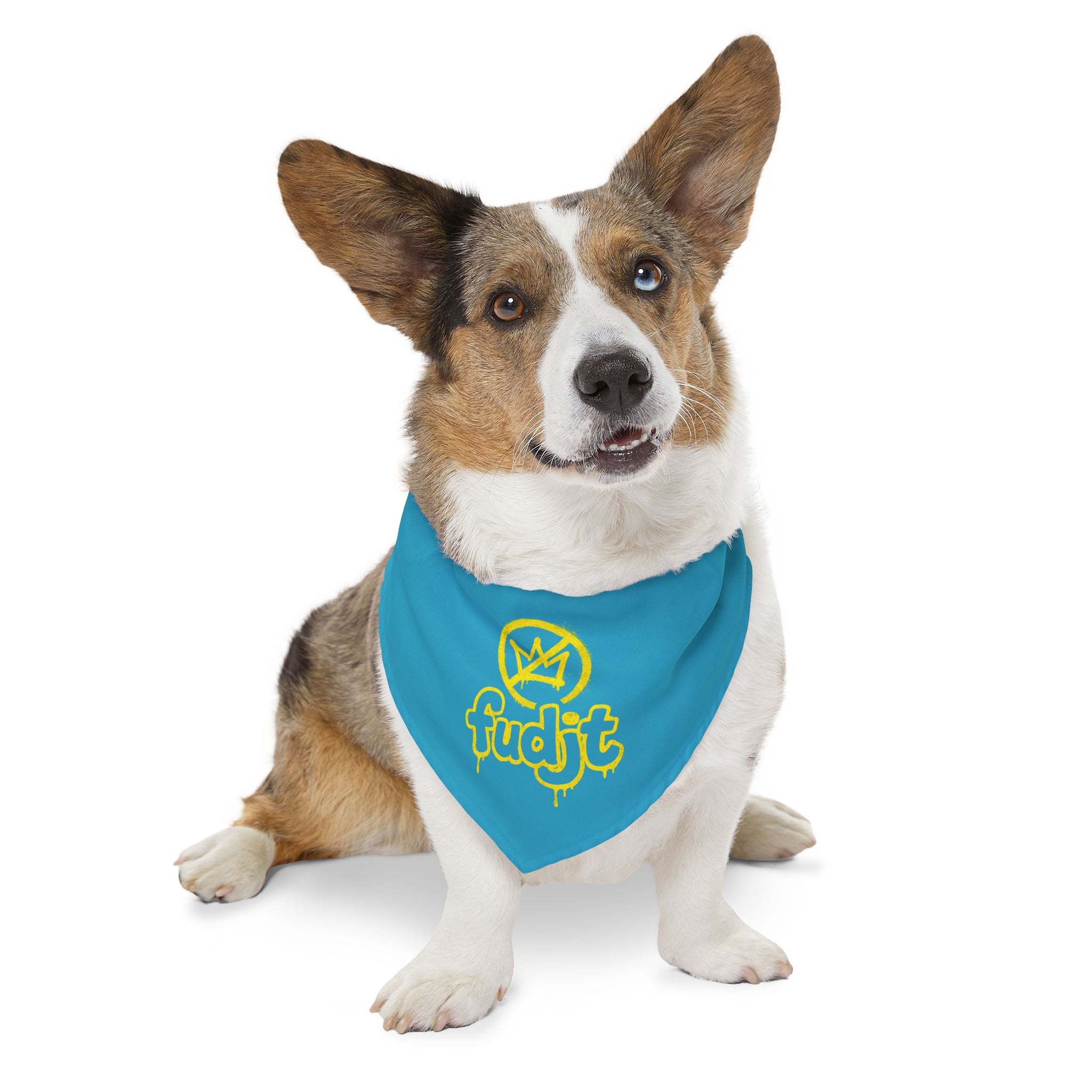Turquoise Golden fudjt No Kings Bandana Collar for Dogs, Cats & More | 4 Sizes