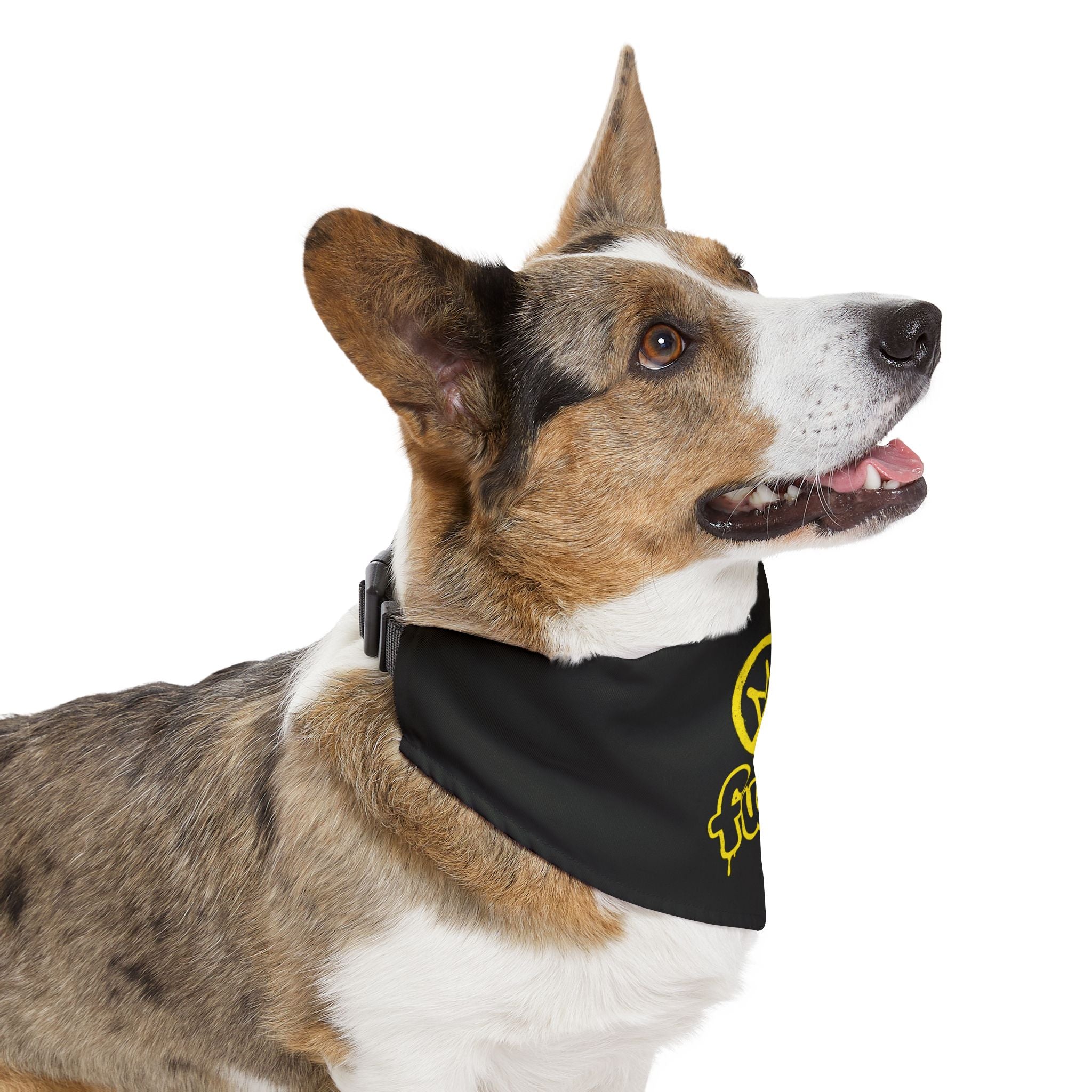 Black Golden fudjt No Kings Bandana Collar for Dogs, Cats & More | 4 Sizes