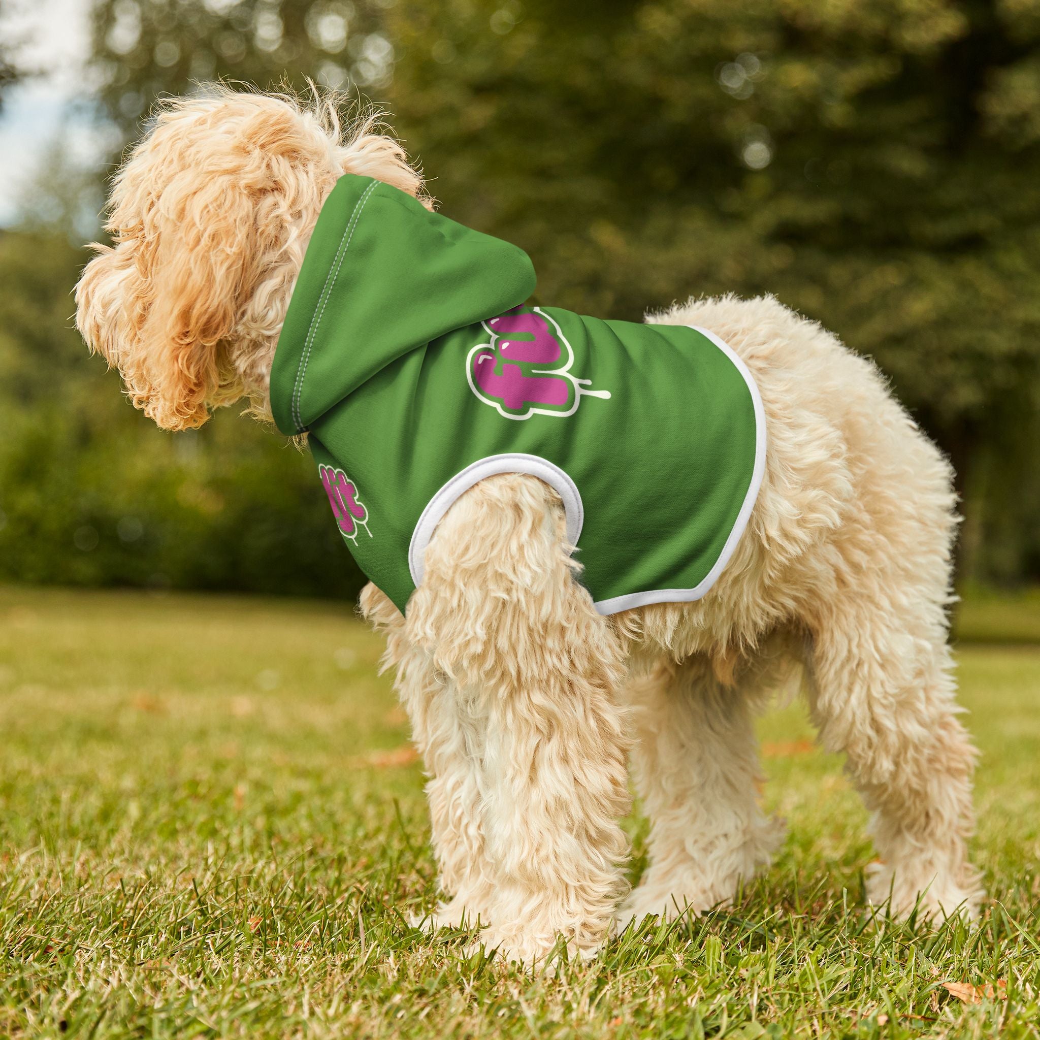 Green fudjt Pet Hoodie with Pink Drip Design