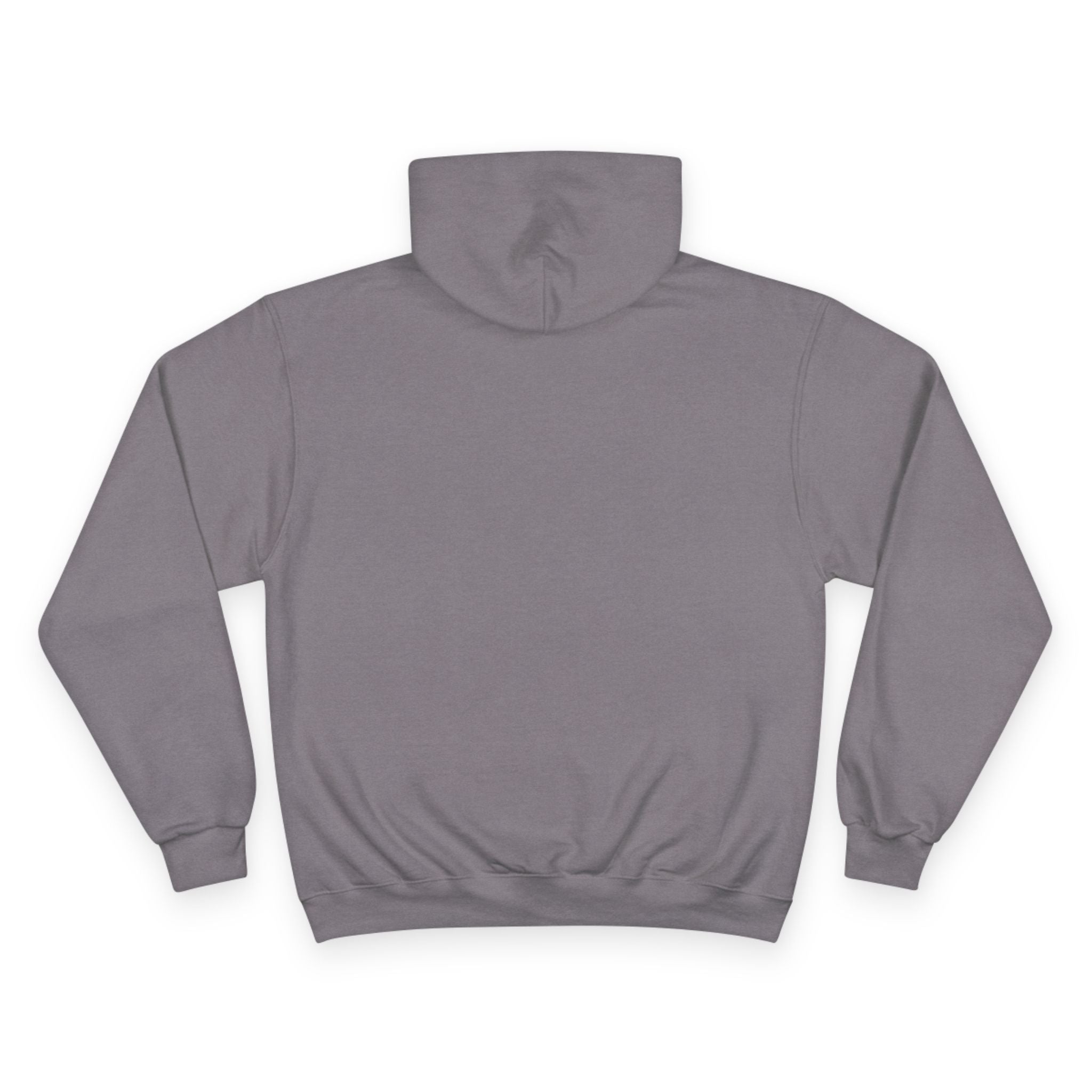 fudjt Rebel Loon Decoy Champion Hoodie | 7 Colors