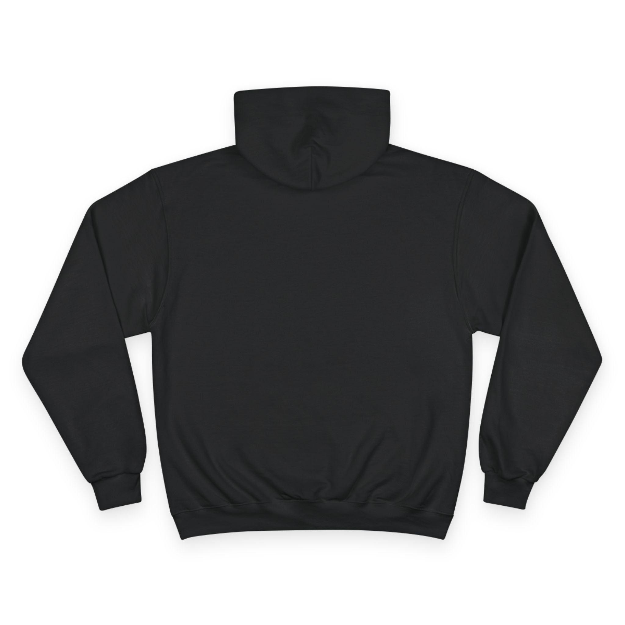 fudjt Rebel Loon Decoy Champion Hoodie | 7 Colors