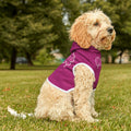 Pink fudjt Pet Hoodie with Pink Drip Design