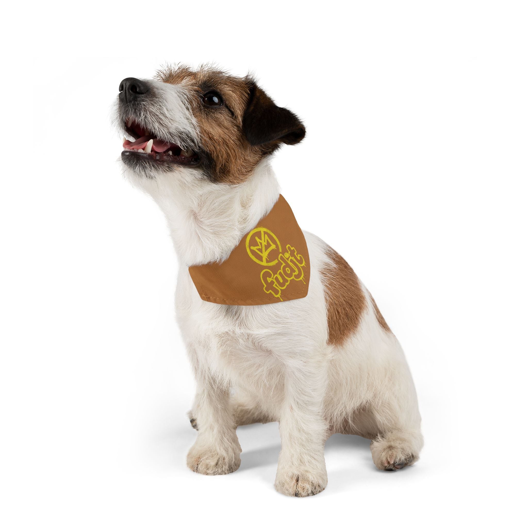 Light Brown Golden fudjt No Kings Bandana Collar for Dogs, Cats & More | 4 Sizes