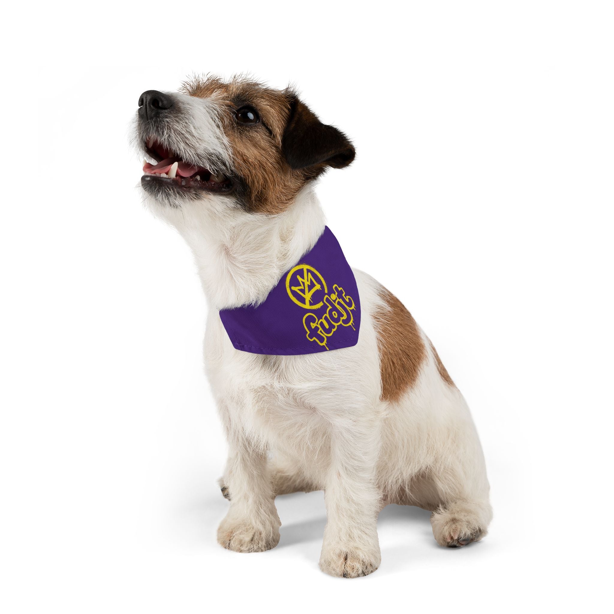 Purple Golden fudjt No Kings Bandana Collar for Dogs, Cats & More | 4 Sizes
