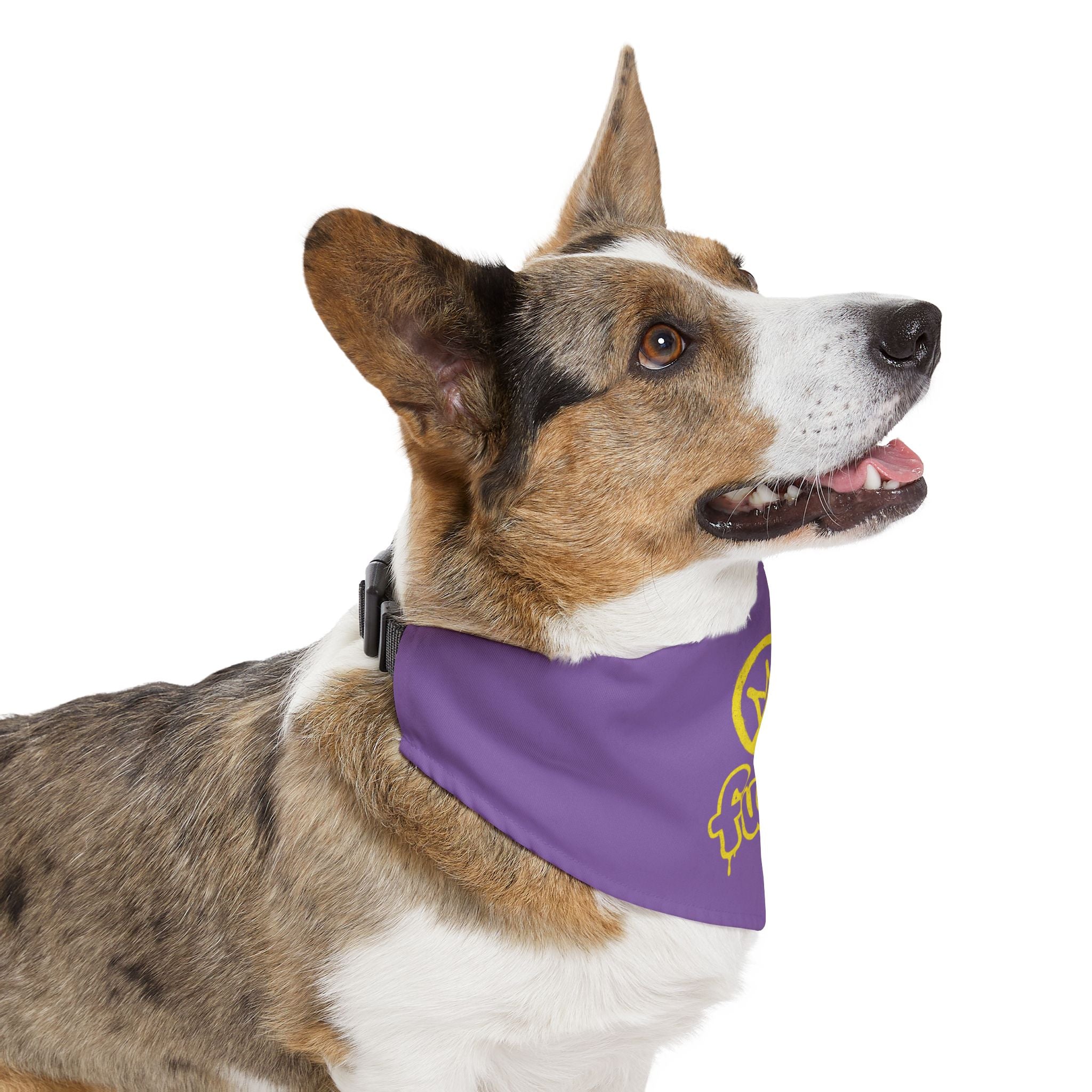 Light Purple Golden fudjt No Kings Bandana Collar for Dogs, Cats & More | 4 Sizes