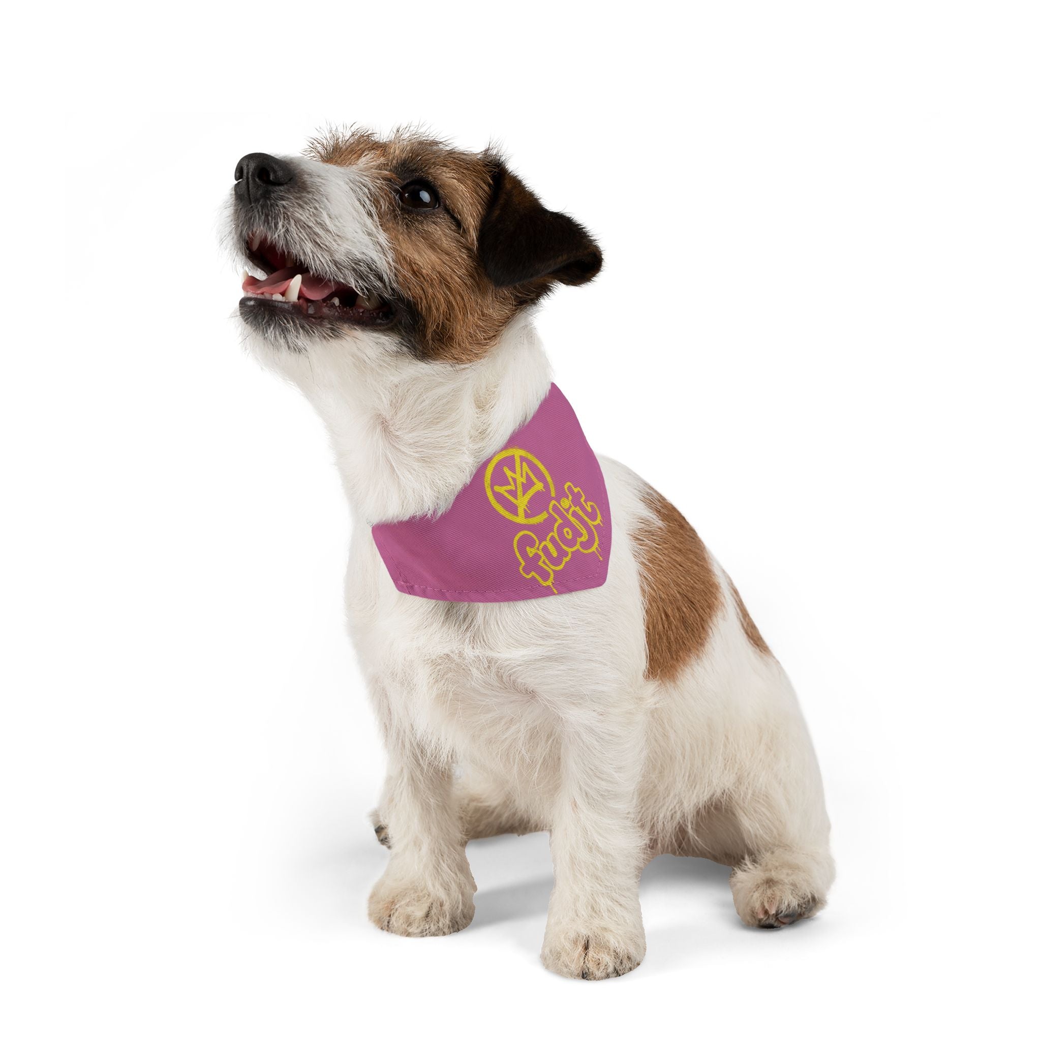 Light Pink Golden fudjt No Kings Bandana Collar for Dogs, Cats & More | 4 Sizes