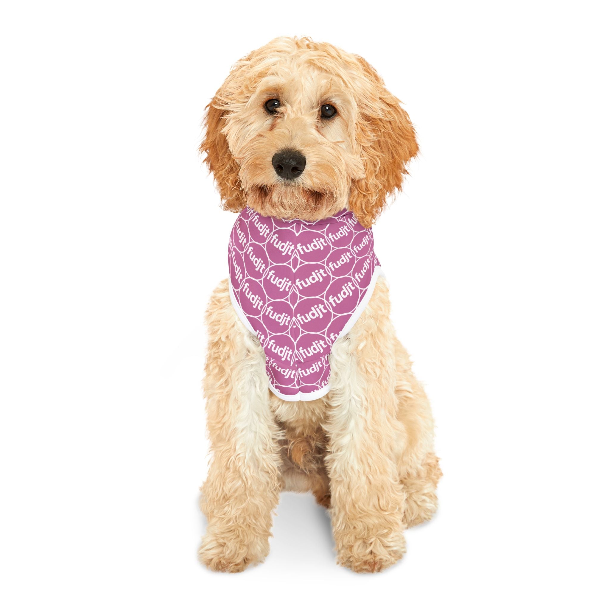 Light Pink fudjt Pet Hoodie | Unbroken Chain 2.5 | 7 Sizes