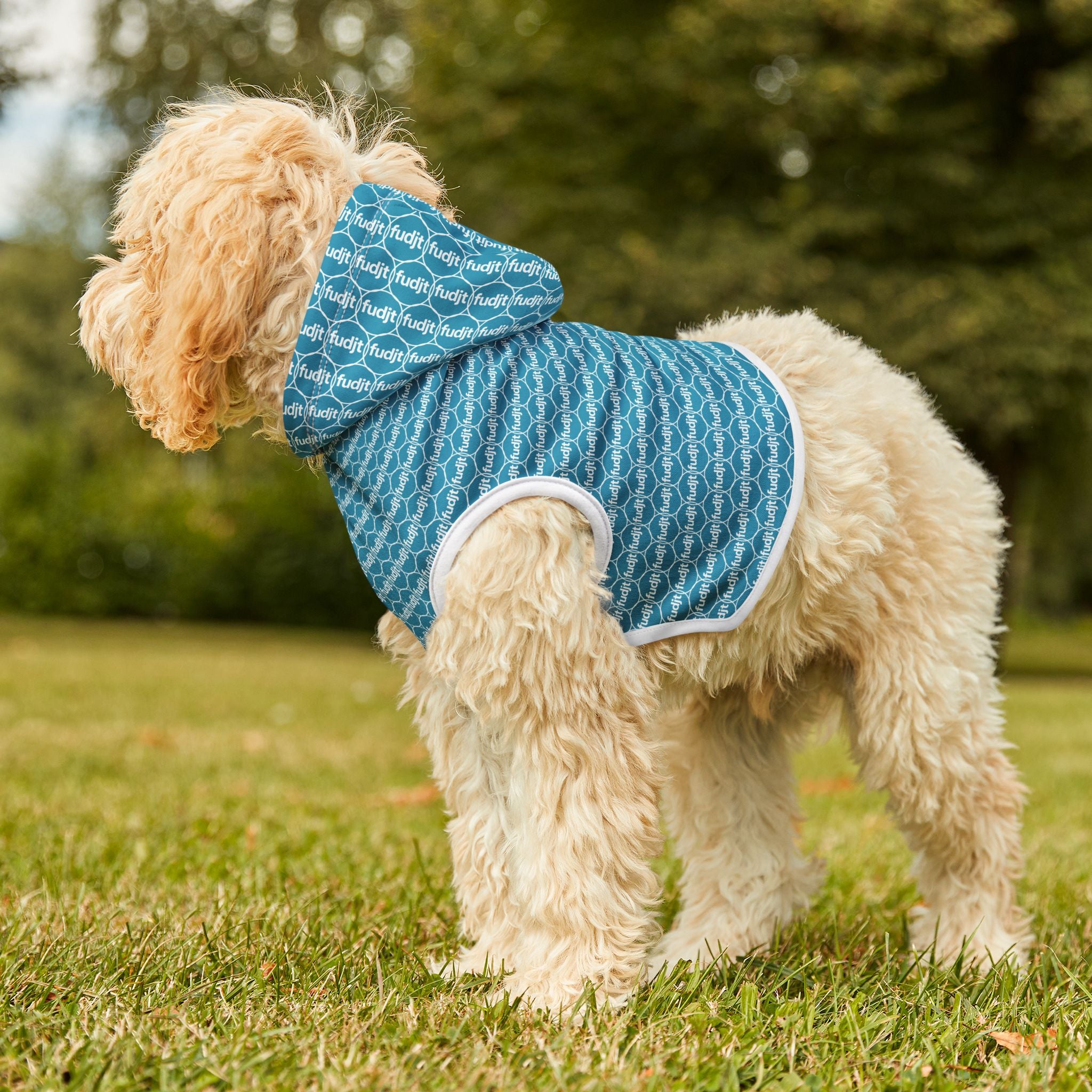 Turquoise fudjt Pet Hoodie | Unbroken Chain 1.25 | 7 Sizes