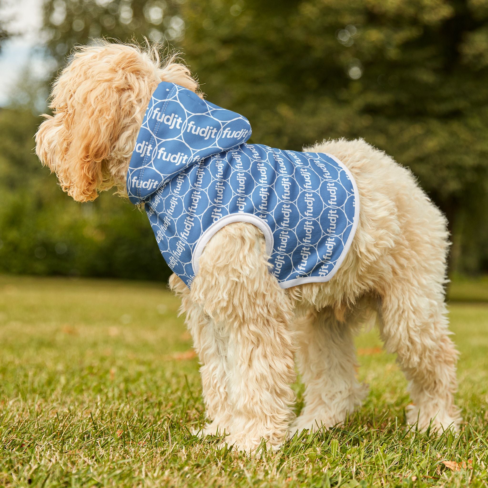 Light Blue fudjt Pet Hoodie | Unbroken Chain 2.5 | 7 Sizes