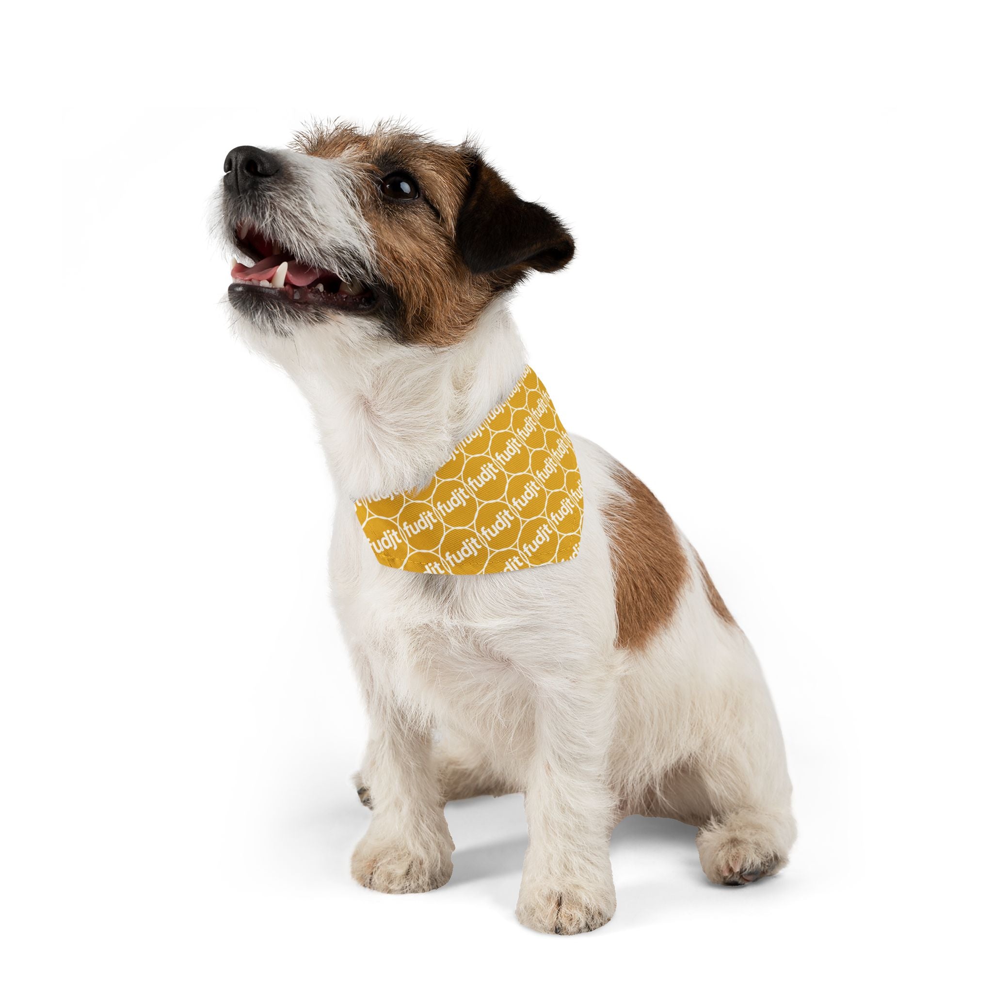Yellow fudjt Unbroken Chain 1.25  Bandana Collar for Dogs, Cats & More | 4 Sizes