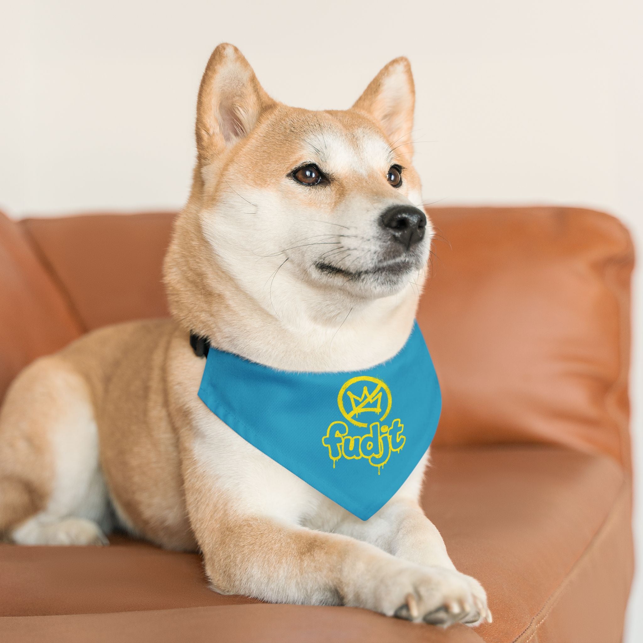 Turquoise Golden fudjt No Kings Bandana Collar for Dogs, Cats & More | 4 Sizes